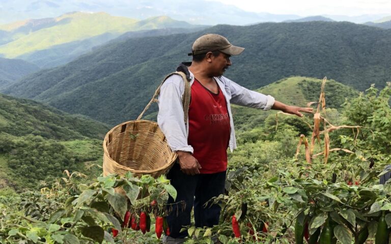 Chilliheads on SBS Viceland