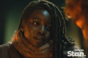 Stan Weekly News Update