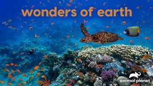 April on Warner Bros. Discovery