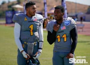 Stan Weekly News Update