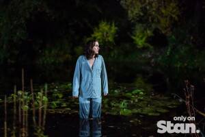 Stan Weekly News Update