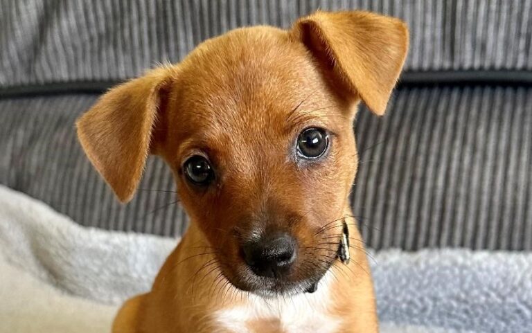 Take Me Home on Channel 9