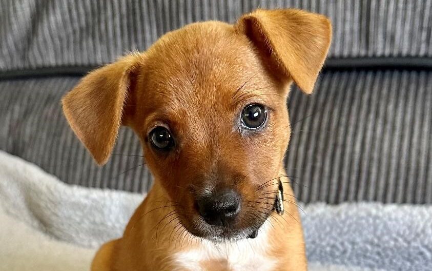 Take Me Home on Channel 9