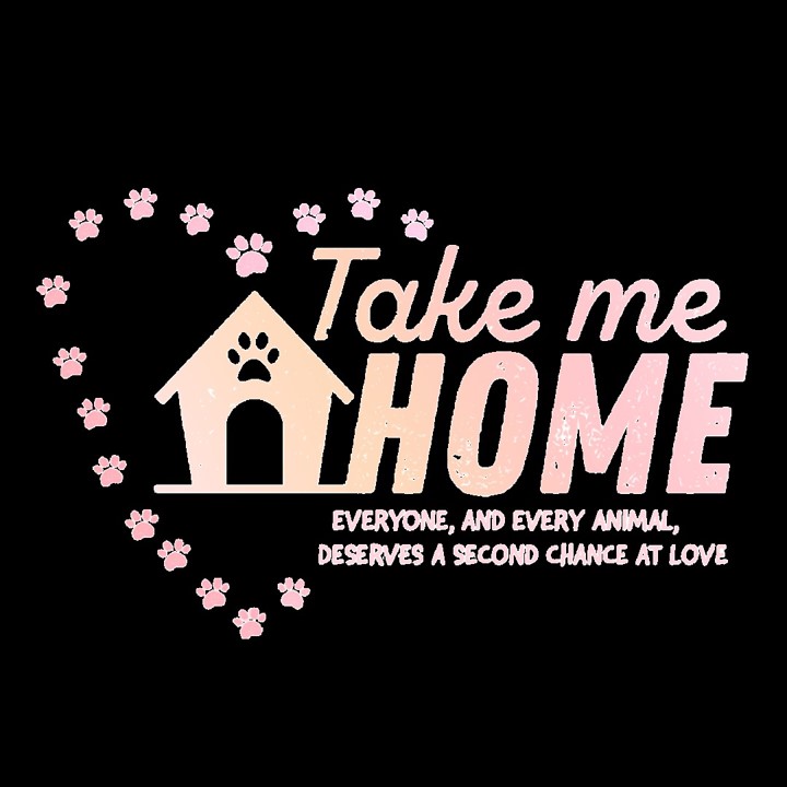 Take Me Home on Channel 9