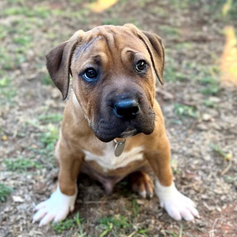 Take Me Home on Channel 9