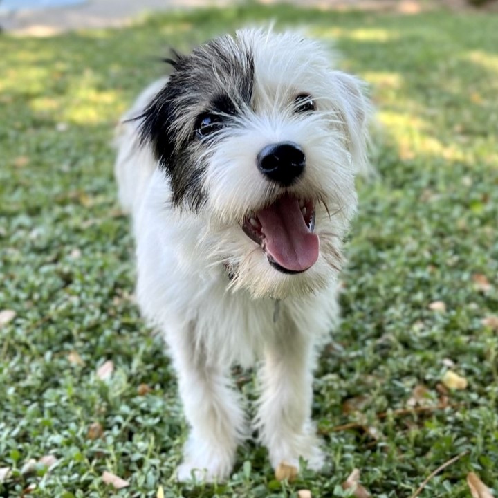 Take Me Home on Channel 9