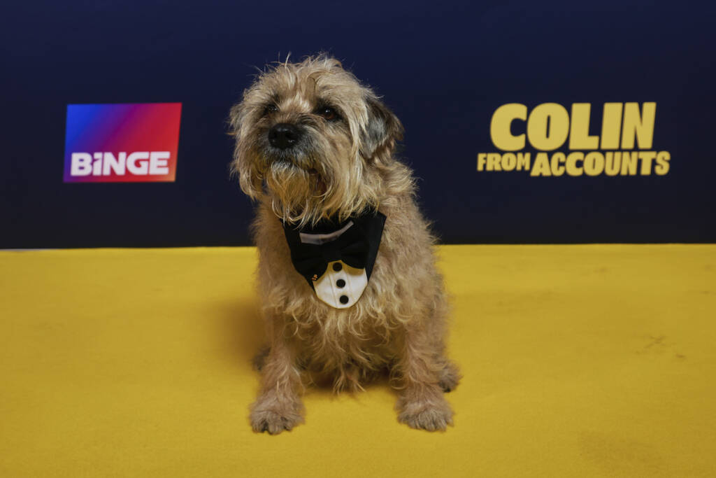 Colin from Accounts on Binge