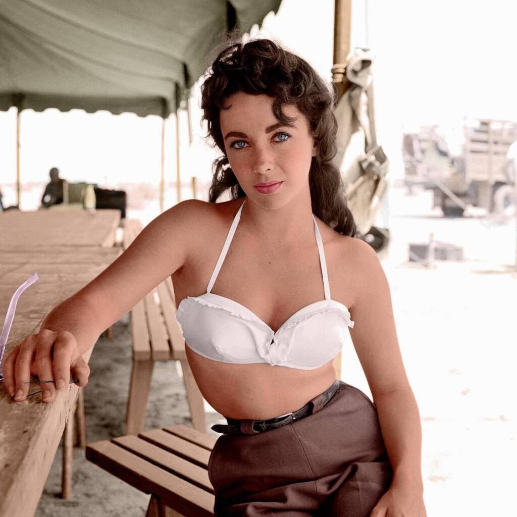 Elizabeth Taylor: The Lost Tapes on Binge