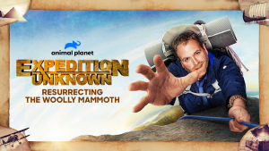 June on Warner Bros. Discovery