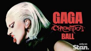 Stan Weekly News Update