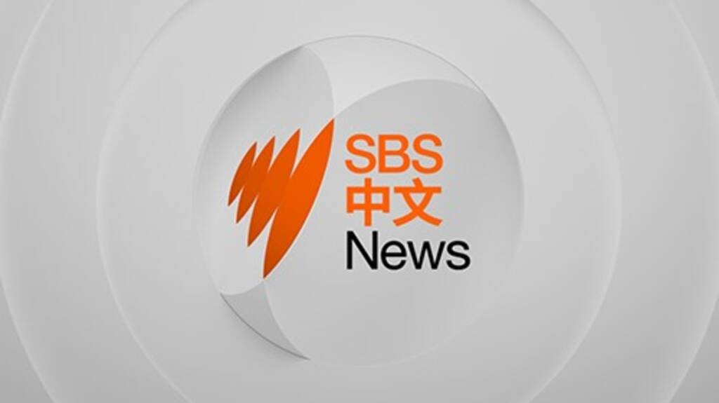 SBS produced Arabic and Mandarin news bulletins move to regular digital news videos