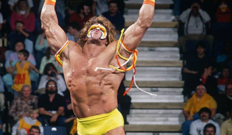 WWE Legends on SBS Viceland