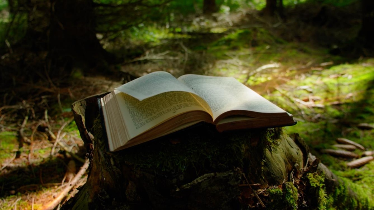 Icons Unearthed: The Lord of the Rings on SBS Viceland