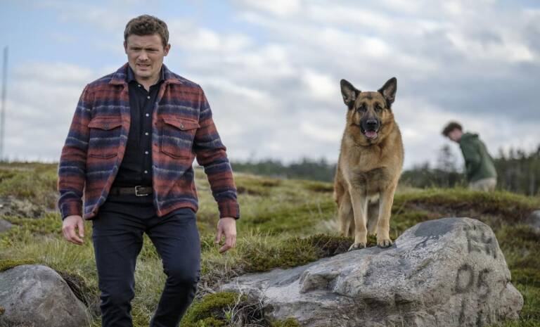 Hudson & Rex on SBS Viceland