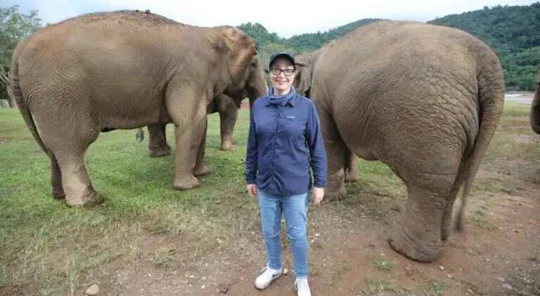 Sue Perkins: Lost In Thailand on SBS and SBS on Demand S1E1