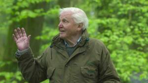 August 2024 on Netflix