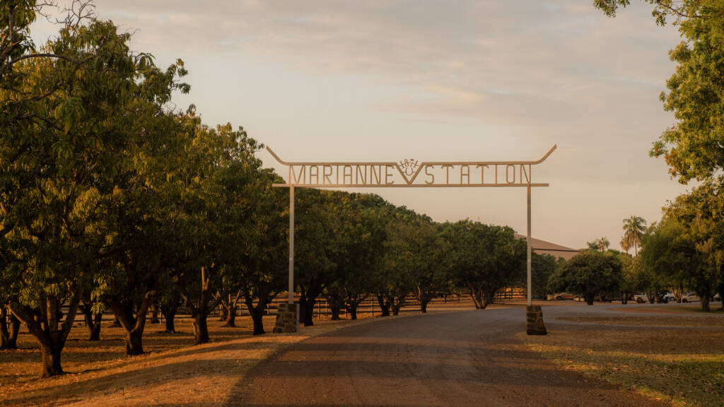 Territory on Netflix Australian drama announcement