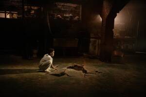 August 2024 on Netflix