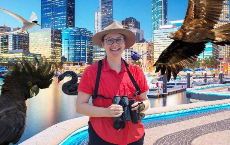 The Secret Life of Our Urban Birds - Perth on ABC and ABC iview