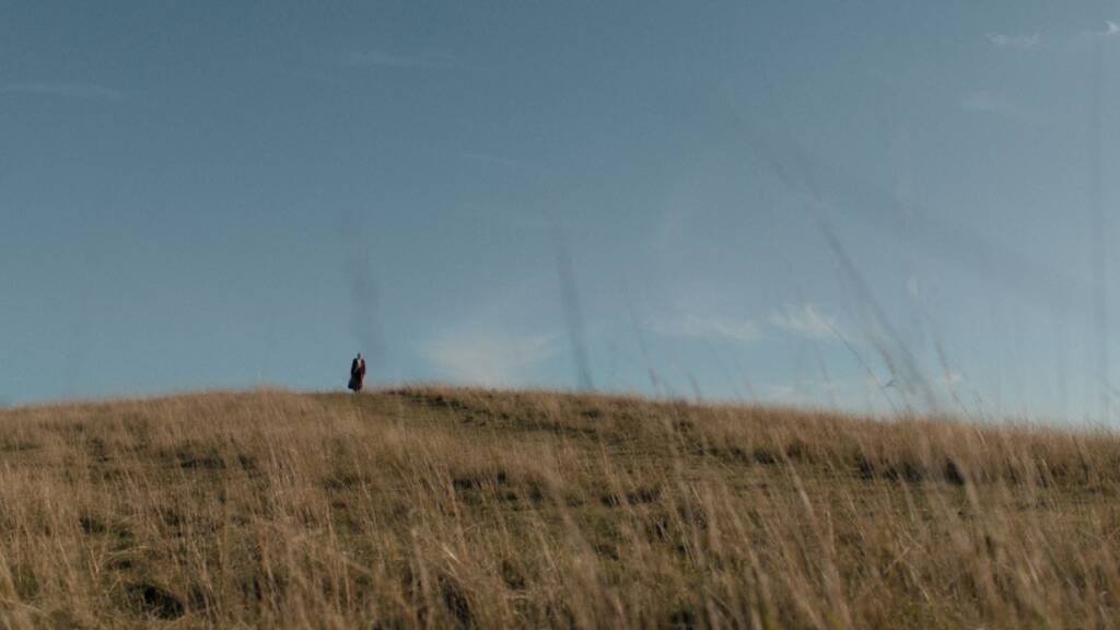 2024 MIFF Shorts Awards announced