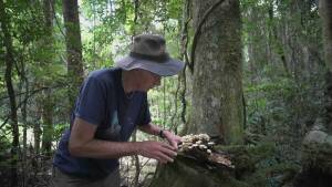 September 2024 on Netflix