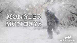 September 2024 on Warner Bros. Discovery