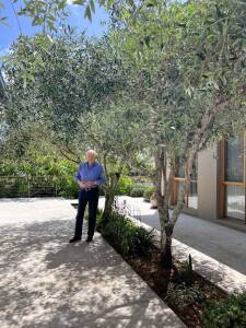 Better Homes and Gardens on Channel 7 and 7plus S30E32