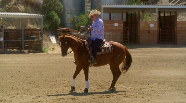 You Can Call Me Bill on SBS and SBS on Demand