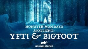 October 2024 on Warner Bros. Discovery