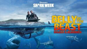 Jon Cena hosts Discovery's Shark Week