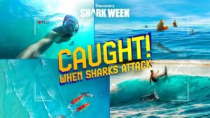 Jon Cena hosts Discovery's Shark Week