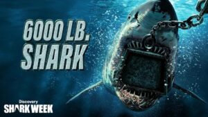 Jon Cena hosts Discovery's Shark Week