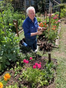 Better Homes and Gardens on Channel 7 and 7plus S30E37