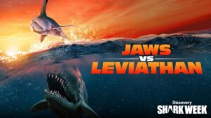 Jon Cena hosts Discovery's Shark Week