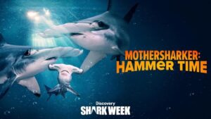 Jon Cena hosts Discovery's Shark Week