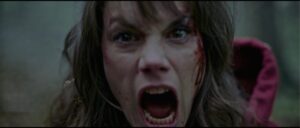 November 2024 on Shudder, AMC+ and Acorn TV