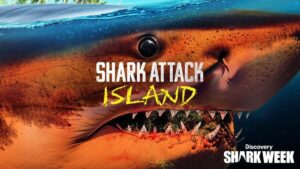 Jon Cena hosts Discovery's Shark Week
