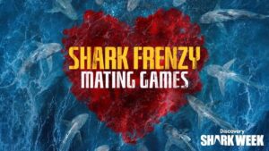 Jon Cena hosts Discovery's Shark Week