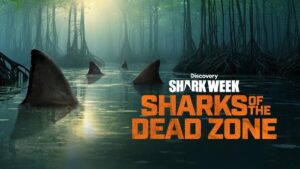 Jon Cena hosts Discovery's Shark Week