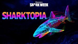 Jon Cena hosts Discovery's Shark Week