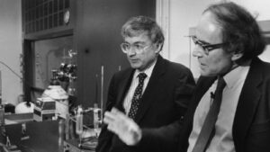 November 2024 on iwonder