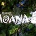 MOVIE | Moana 2 makes huge waves at the box office