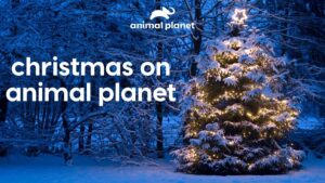 December 2024 on Warner Bros. Discovery