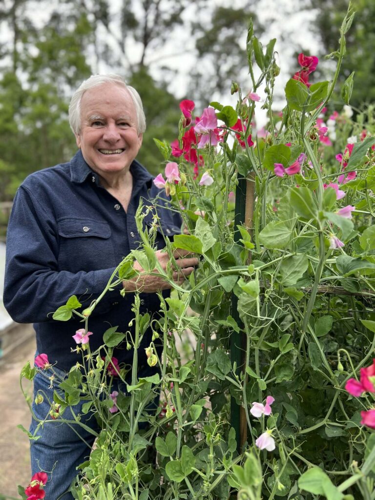Better Homes and Gardens on Channel 7 and 7plus S30E41