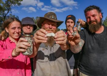 December 2024 on Warner Bros. Discovery