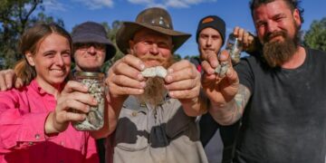 December 2024 on Warner Bros. Discovery