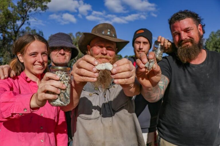 December 2024 on Warner Bros. Discovery