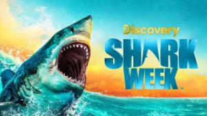 December 2024 on Warner Bros. Discovery