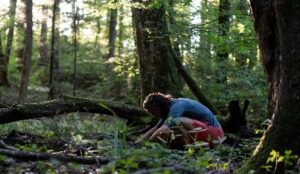 December 2024 on ABC iview