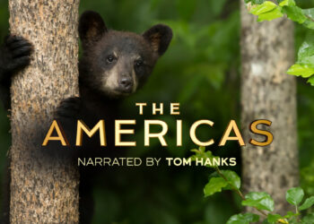 Saturday 24 May 2025 TV Ratings Australia